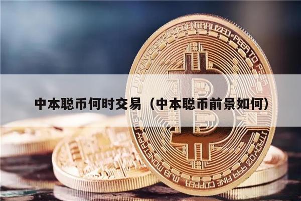 中本聪币何时交易（中本聪币前景如何）-第1张图片-交易所